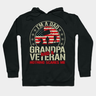 Im A Dad Grandpa And Veteran Nothing Scares Me Hoodie